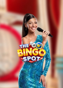 Bingo Spot